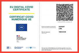 People who have been vaccinated or have recovered in 12. 15 Faqs On Eu S Covid Digital Certificate And France Summer Travel
