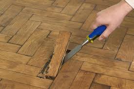 wood floor repair service floor