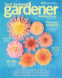 stuff s house and garden magazines