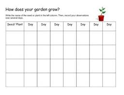 Plant Seed Growth Chart Seed Germination Seeds