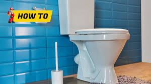how to unclog a toilet using salt