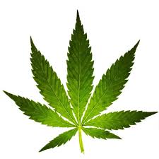 In 1978, new mexico became the first state in the country to pass legislation recognizing the medical value of marijuana. New Mexico Senate Tightens Rules On Medical Marijuana Krwg