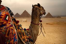 It was two people per camel, and i had the misfortune. Camel Ride Trip At The Pyramids Bob Marley Tours Travels Egypt