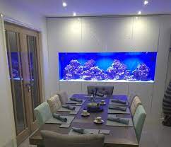 Custom In Wall Fish Tank - Oceanlife Aquatics | Fish tank wall, Fish tank  design, Dream kitchens design gambar png