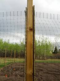 Easy And Inexpensive Deer Fence Roger