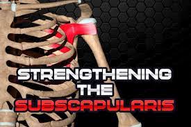 subscaris strengthening