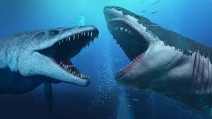 100 megalodon pictures wallpapers com