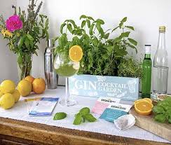 Unwins Gin Cocktail Herb Garden