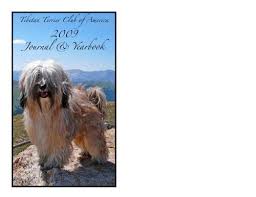 Advertise, sell, buy and rehome tibetan terrier dogs and puppies with pets4homes. Obedience Rankings Tibetan Terrier Club Of America
