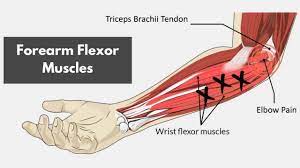 golfer s elbow pain root cause