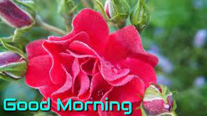 Good morning video song download - YouTube