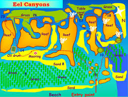 eel canyons dive site site map