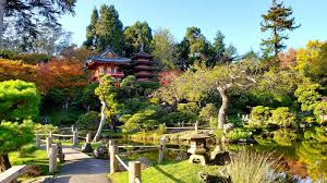 anese tea garden