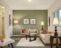wonderful sage green living room ideas
