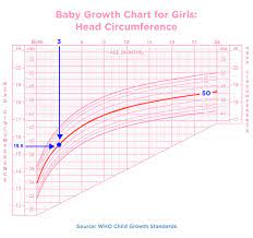 baby growth charts birth to 24 months