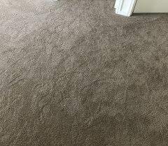 carpet options that wont show