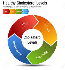 An Image Of A Total Blood Cholesterol Hdl Ldl Triglycerides Chart