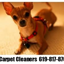 sd carpet cleaners 5694 mission