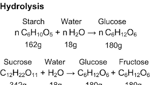 Starch And Sucrose Hydrolysis Reactions