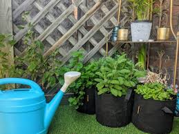gardening with grow bags