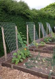 20 Inspiring Vegetable Garden Design