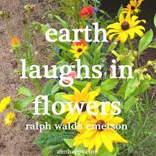 There is something about flowers that make us feel instantly better, but have you ever wondered why they have the power to improve our mood and make us happy? 29 Flower Quotes To Brighten Your Day Flower Quotes Seed Quotes Brighten Your Day