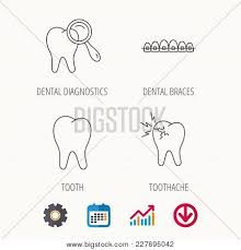 Tooth Dental Braces Vector Photo Free Trial Bigstock
