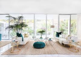 a bright living room with a breezy palm
