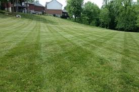 Gone are the days when moving to a new neighborhood meant starting from scratch to find local lawn maintenance companies to complete your weekly required grass cutting. Northern Kentucky Lawn Mowing Service Florence Union Burlington Hebron Erlanger