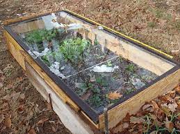 Cold Frame Made From Recycled Materials