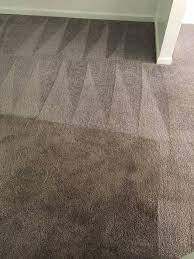 royal carpet cleaners reviews bel air