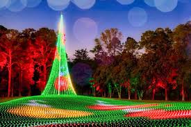 the best christmas lights in georgia to