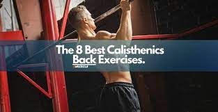 the 8 best calisthenics back exercises