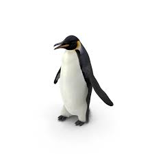 free emperor penguin png images psds
