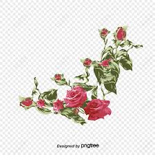 rose border images hd pictures for