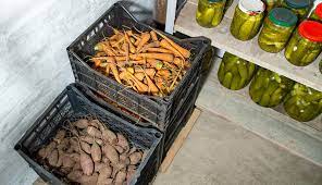 Root Cellar In Your Basement