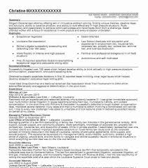 Best     Resume objective examples ideas on Pinterest   Career     Callback News Immigration Lawyer Resume Free PDF Download