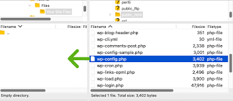 edit wp config php in wordpress