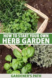 how to start your own herb garden
