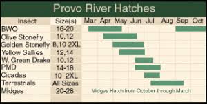 Provo River Fly Fishing Totalflyfishing Com