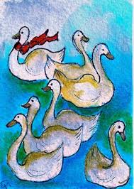 Image result for 7 swans a swimming