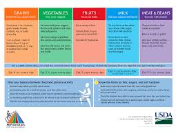 Healthy Diet Chart For Mens In India Aim Index