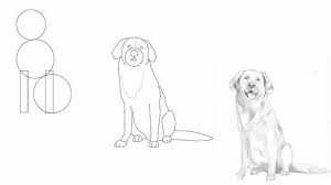 draw a dog focus on the family