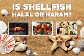 Is octopus halal hanafi : Is Seafood Halal Crab Lobster Shark Octopus Oyster Sushi