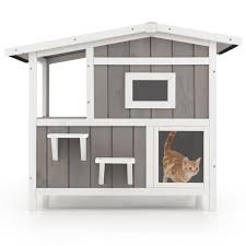 outdoor cat houses feral cats