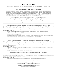 essay about totalitarianism resume for a sales position     executive resumes sample resume for technology executive      Sample Resume  For Sales And Marketing