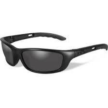 Wiley X P 17 Sunglasses