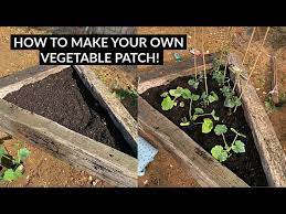 How To Make A Vegetable Patch Easy
