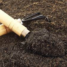 loam soil for your garden