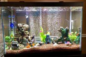 Best Self Cleaning Fish Tank For 2021